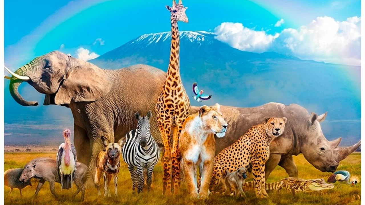 What's the most endangered species of land animal in 2021?
